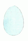 Яйца Горихвостки-лысушки Рис. 3